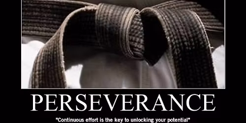 Black Belt Bootcamp #1