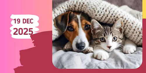 Blanket Donation for the local Animal Rescues