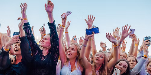 Palmesus Junior 2026