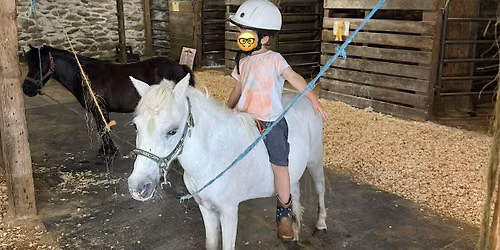Pony Preschool Minis (age 2+, under 50lbs)