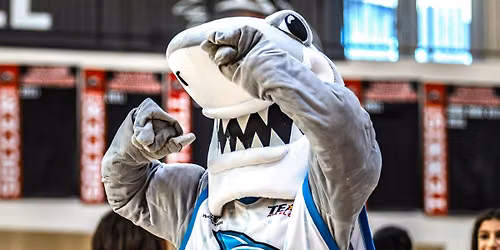 Sharks Mascot Tryouts