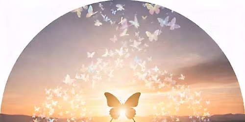 vlinderlicht vrouwen cirkel