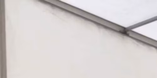 Molly Grace ~ Young Artist Spotlight! \ud83c\udf99\ufe0f\ud83c\udf1f