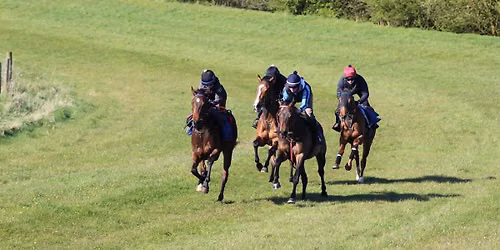 National Racehorse Week Open Morning