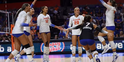 Parking High Point Panthers at Florida Gators Baseball