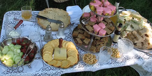 Time Traveler's Picnic at Gallup Park