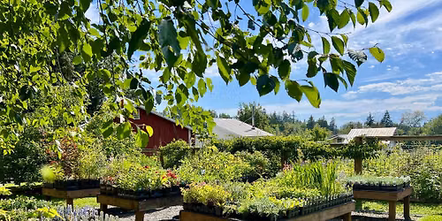 PLANT SALE\ud83c\udf3c\ud83c\udf31 \ud83c\udf3a 6\/25, 6\/26 & 6\/27 10-3:00