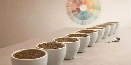 Intro to Coffee Cupping