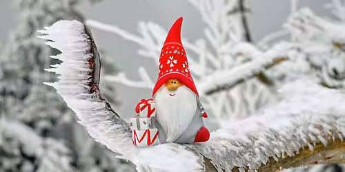 Lesnes Christmas Trail