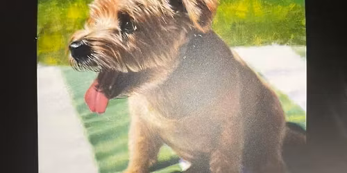 Sammy Mc & Alex Stepney