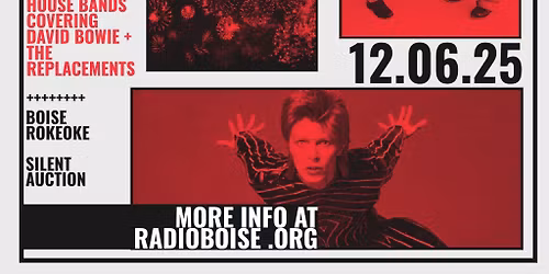 The Brothers Comatose New Years Eve at The Center for the Arts Grass Valley