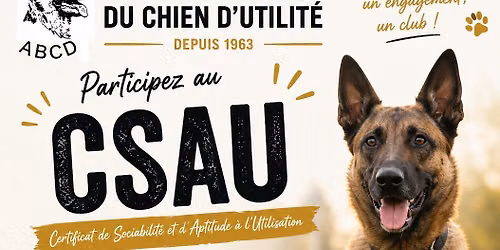 CSAU