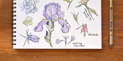 Garden Sketchbook: 5-Part Workshop