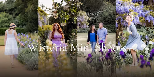 Wisteria Mini Shoots