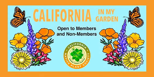 Newport Beach Civic Center: Where Nature, Art, and Community Meet