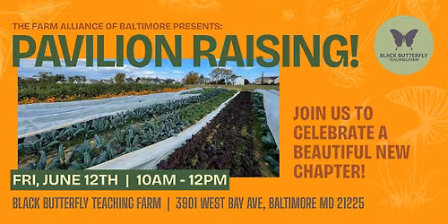 Black Butterfly Farm Pavilion Raising