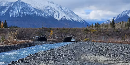 Research Series: Adapting Southern Bioengineering for Northern Rivers