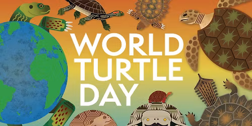 World Turtle Day