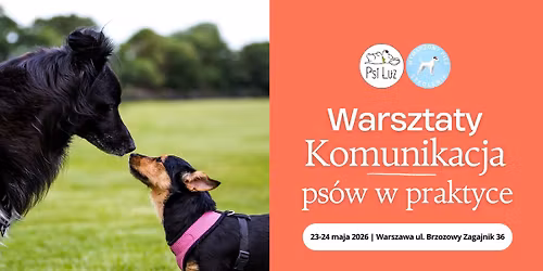 Warsztaty - Komunikacja ps\u00f3w w praktyce