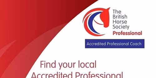 Confidence building Polework and Showjumping series Indoors