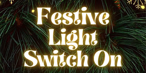 Festive Light Switch On