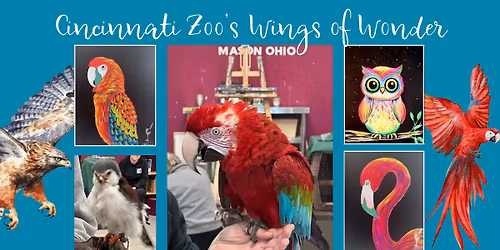 Cincinnati Zoo Presents Wings of Wonder \u2013 Live Bird Show & Painting Experience