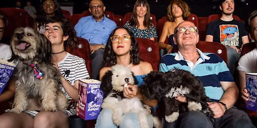 Dog Friendly Screening - film title tbc