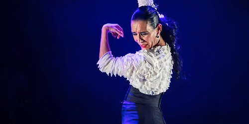 Dancers Workshop: A Legacy of Student Passion