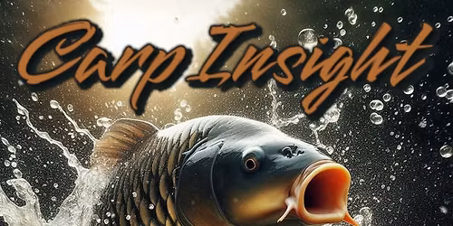 Carp Insight Social