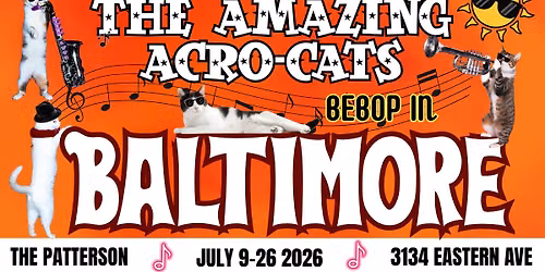 The Amazing Acro-Cats Bebop in Baltimore!
