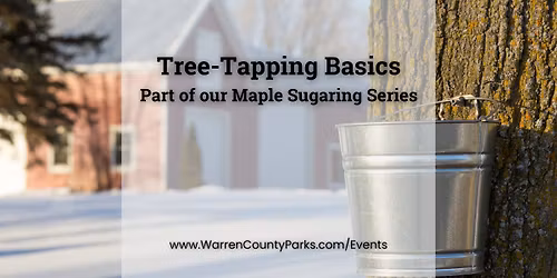 Tree-Tapping Basics at Armco Park