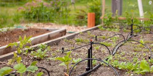Drip Irrigation 101