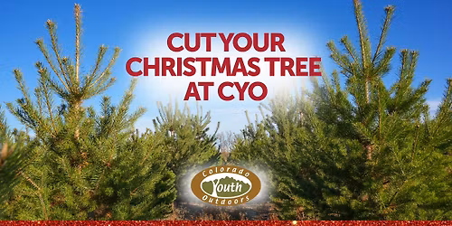 Cut Your Christmas Tree at Colorado Youth Outdoors