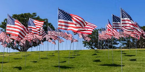 Flag Day Retrieval