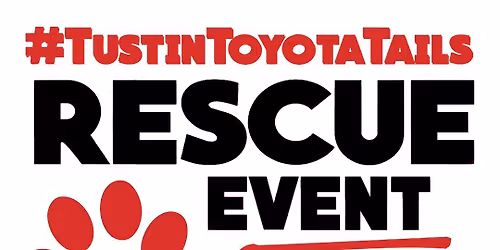 Pet Adoption | Tustin Toyota Tails