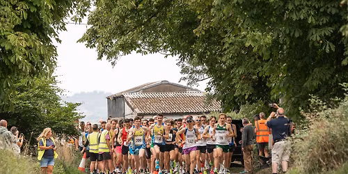 Alchester 5k
