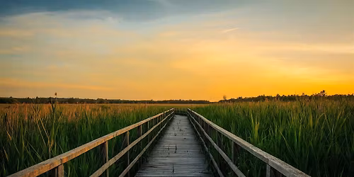 The Sanctuary of Self: A Guided Path to Presence and Peace.