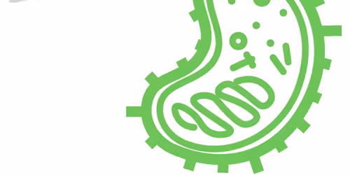 HEMA Labs 4: Quality\/Exchange