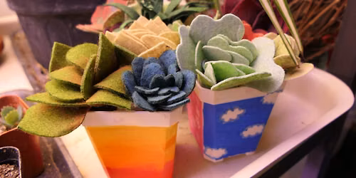 Family Workshop: Felt Succulents