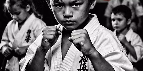 DALLAS KYOKUSHIN KARATE -KIDS