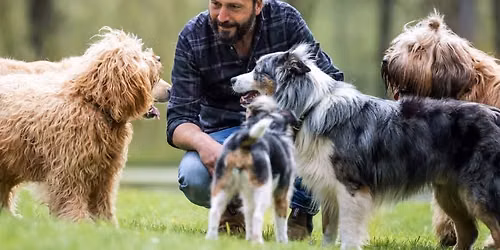 SAMI EL AYACHI - Der zugewandte Hund 