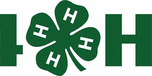 Norseman 4-H Club Brat Fry @ Iola Sentry Store
