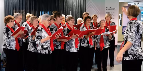 Dunedin Harmony \u2013 Christmas Performance