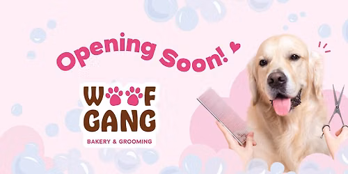 Grand Opening! 