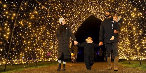 Christmas Light Trail