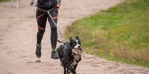 Tutustu valjakkourheiluun