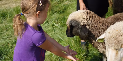 Fiber Farm Summer Camp: Celebrating Nature's Palette & Fiber Crafts