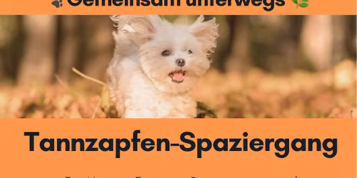 Tannzapfen-Spaziergang