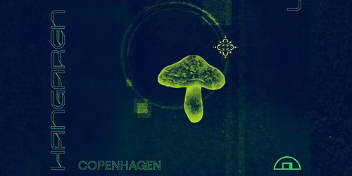 PARAMIDA, Kawun, NAT, YOON