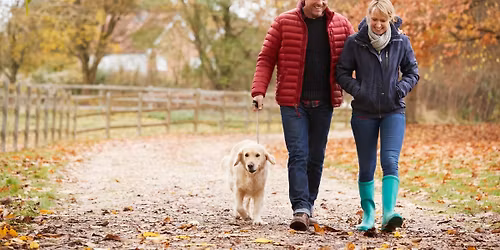 Adoption Event at Petco Kettering